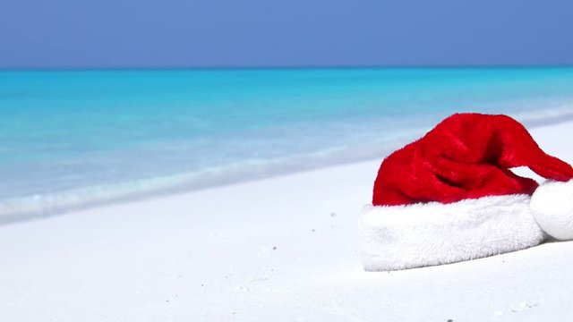 Christmas helper hat on plant with green leaves at the beach on tropical island