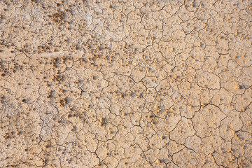 Brown dry soil or cracked ground texture background.