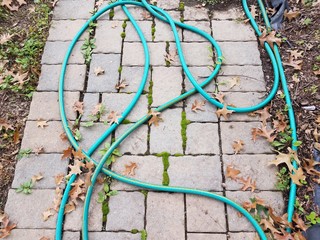 green garden hose on a stone path with weeds