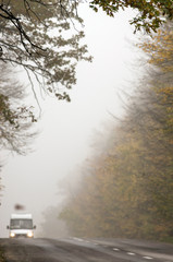 Road in the autumn forest. Branch of a tree with yellow leaves against a background of blurry car headlights.