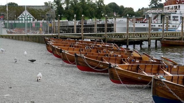 Seagulls, pigeons and a line of rowboats on the shore at Bowness Bay-Lake Windermere in the South Lakeland District, Cumbria, England