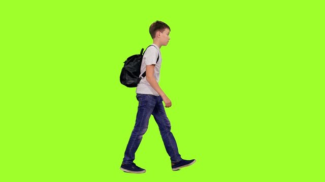 Schoolboy with backpack walking on green chroma key background