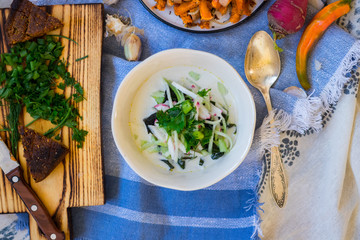 Russian traditional okroshka - a cold soup made from cucumber, kvass, radish, dill, parsley. Vegan raw okroshka with coconut milk yoghurt, lemon, garlic. Vegetarian lunch or dinner. Healthy food.