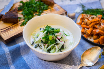 Russian traditional okroshka - a cold soup made from cucumber, kvass, radish, dill, parsley. Vegan raw okroshka with coconut milk yoghurt, lemon, garlic. Vegetarian lunch or dinner. Healthy food.