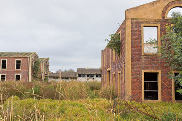 Nature taking over some abandoned buildings in South Africa.  Post apocalyptic/nuclear fallout...