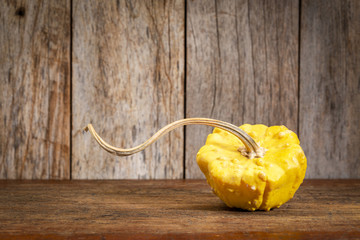 ornamental gourd on rustic wood