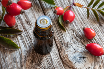 A bottle of rose hip seed oil with fresh rose hips