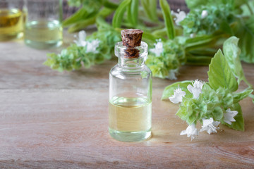 A bottle of basil essential oil with fresh blooming basil