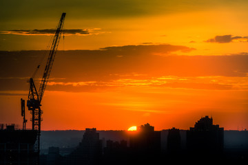 The crane at sunset