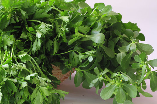 Yosh ona va uning ogli ortasidagi jinsiy aloqa Fisting chelaklari