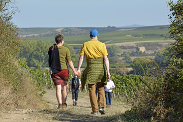 Fototapeta premium siefersheimer weinwanderung 2018