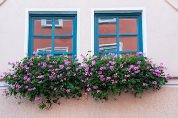 Fototapeta na wymiar Fenster mit Blumenkästen