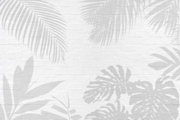 Monstera, palm and other tropical leaves foliage plant shadows on white brick wall texture  background.