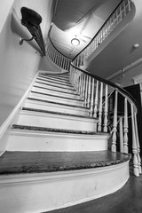 Straight Lines and Curves