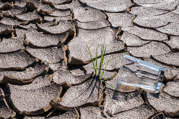 Cracked Earth with glass of water and grass