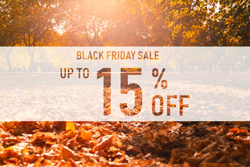 Black friday sale up to 15% off text over colorful fall leaves background. Word Black friday with...