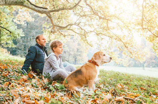 Father, son and beagle dog sitting in autumn park, warm indian summer day