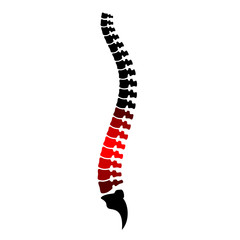 Low back pain icon