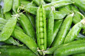 Fresh green peas in the pods.