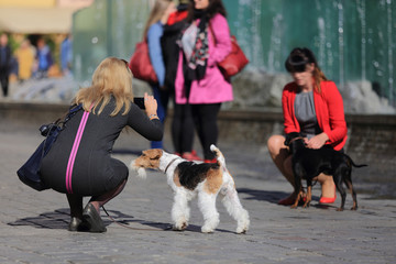 Kobiety z psami robią zdjęcia na tle fontanny. - obrazy, fototapety, plakaty