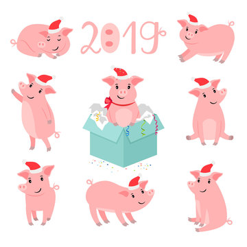 Pig new year character. Christmas pigs portrait vector illustration, winter cute pink pork pet isolated on white background