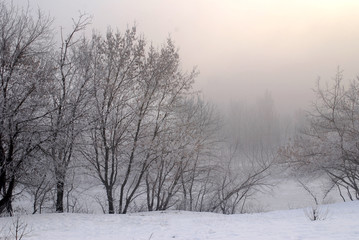 Earlier winter morning on the river, trees in frost and fog.