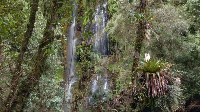 Waterfall in the Rio Pita Valley, Surrounded by humid cloudforest near Cotopaxi Volcano in the Ecuadorian Andes