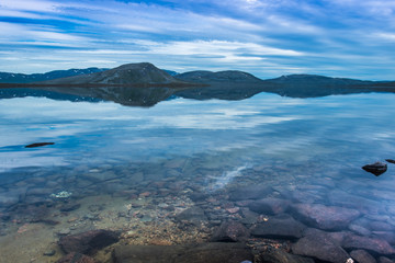 A beautiful lake and tree