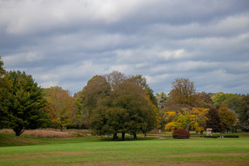 field with trees turning fall colors
