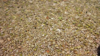 sea  gravel