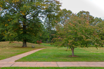 trees turning fall colors in park