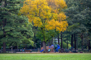 new england playground in distance in the autumn / fall