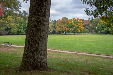 view of park in distance