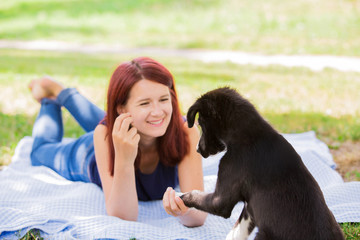 Puppy motivational training in a city park giving paw. Dog owner gives border collie dog a reward for hig five.