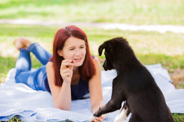 Puppy motivational training in a city park giving paw. Dog owner gives border collie dog a reward...