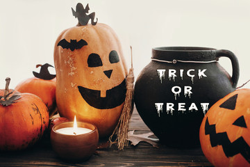 Trick or Treat text, Happy Halloween. Pumpkins, jack-o-lantern, witch cauldron, bats, spider,...