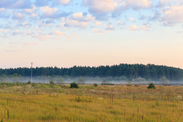 Fototapeta premium Summer landscape with green misty meadow, trees and sky. Fog on the grassland