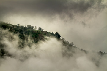 Hill in the fog