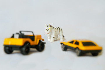 Cars near the zebra.