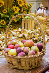 autumn's basket with red apples, harvest, vertical photo