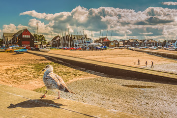 A seagull with a shadow walk along a wooden beam in the foreground of a landscape image of...