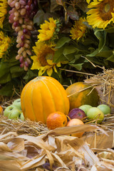 Autumn composition with sweet melon, sunflowers and apples, selective focus