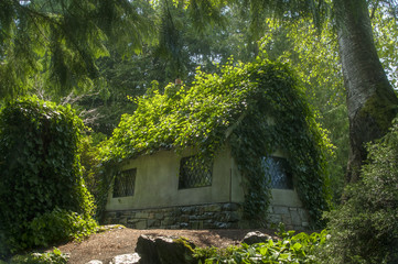 Das grüne, ökologische Haus im Einklang mit Natur und Umwelt