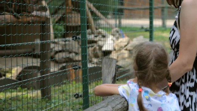 Little girl with mother in zoo