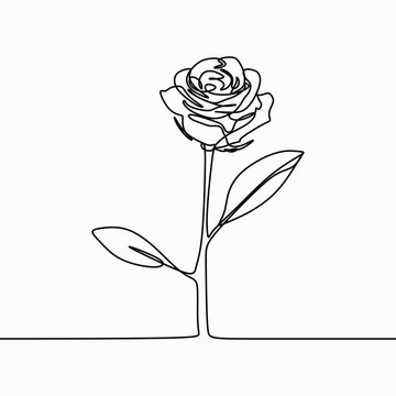 One line drawing of a rose flower. Minimal modern and simple design illustration vector.