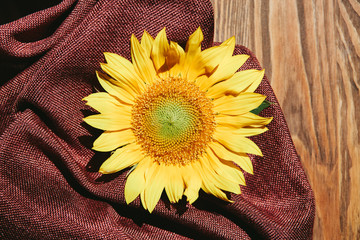 Beautiful yellow sunflower flower on brown textured textile and wooden background