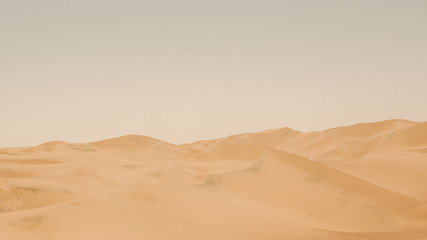 Fototapeta na wymiar Sand Dunes In The Desert