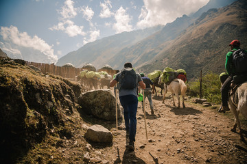 Hiking Man Following Tour Guides In Peru