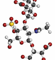 Chondroitin sulphate (short fragment). Important component of cartilage. 3D rendering. Atoms are represented as spheres with conventional color coding.