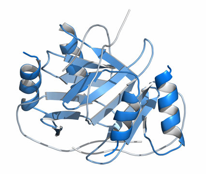 Platelet factor 4 (PF-4) chemokine protein. 3D rendering, cartoon representation. N-to-C gradient coloring.